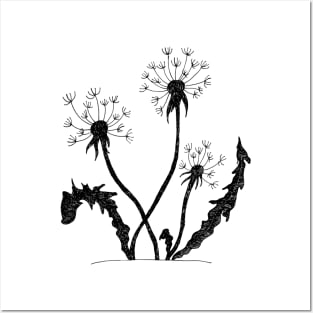 Dandelions illustration Posters and Art